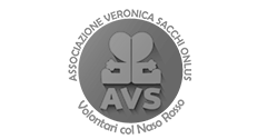 logo Avs